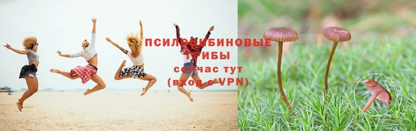 МДМА Михайлов