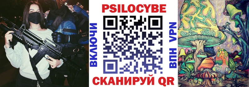 Псилоцибиновые грибы Psilocybine cubensis  Тимашёвск 